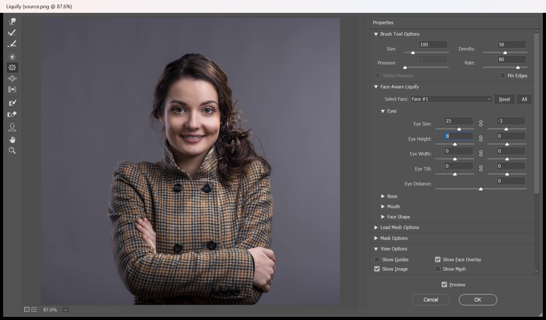 Adobe Photoshop에서 Liquify · Face-Aware Liquify 옵션창을 열고 편집 중인 실제 화면